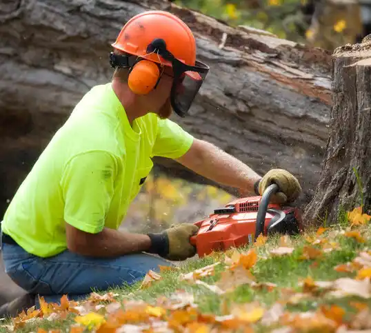 tree services Hay Springs